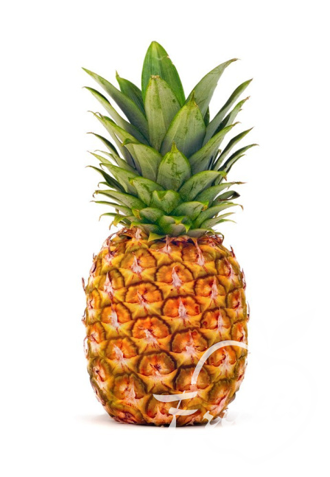 Ananas Mały