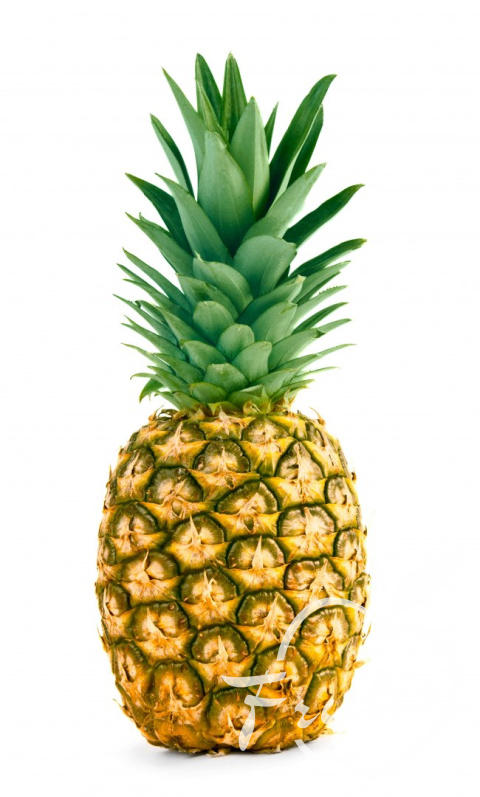 Ananas Duży