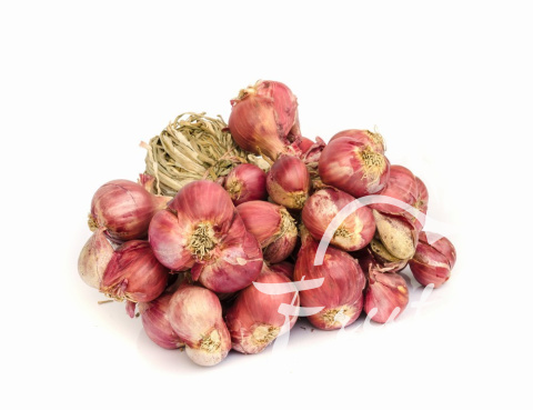 Cebula Szalotka (250g) Cebula Szalotka (250g)
