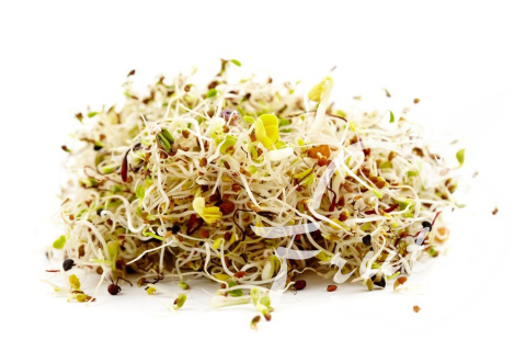 Kiełki Mix (250g) Kiełki Mix (250g)