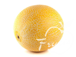 Melon Galia