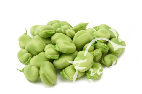 Bób (500g) Bób (500g)