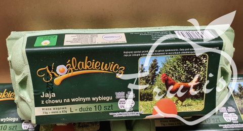 Jaja z chowu na wolnym wybiegu (10szt)