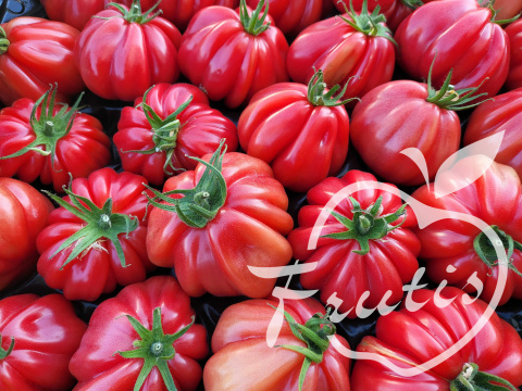 Pomidor Malinowy Karbowany PL Pomidor Malinowy Karbowany PL